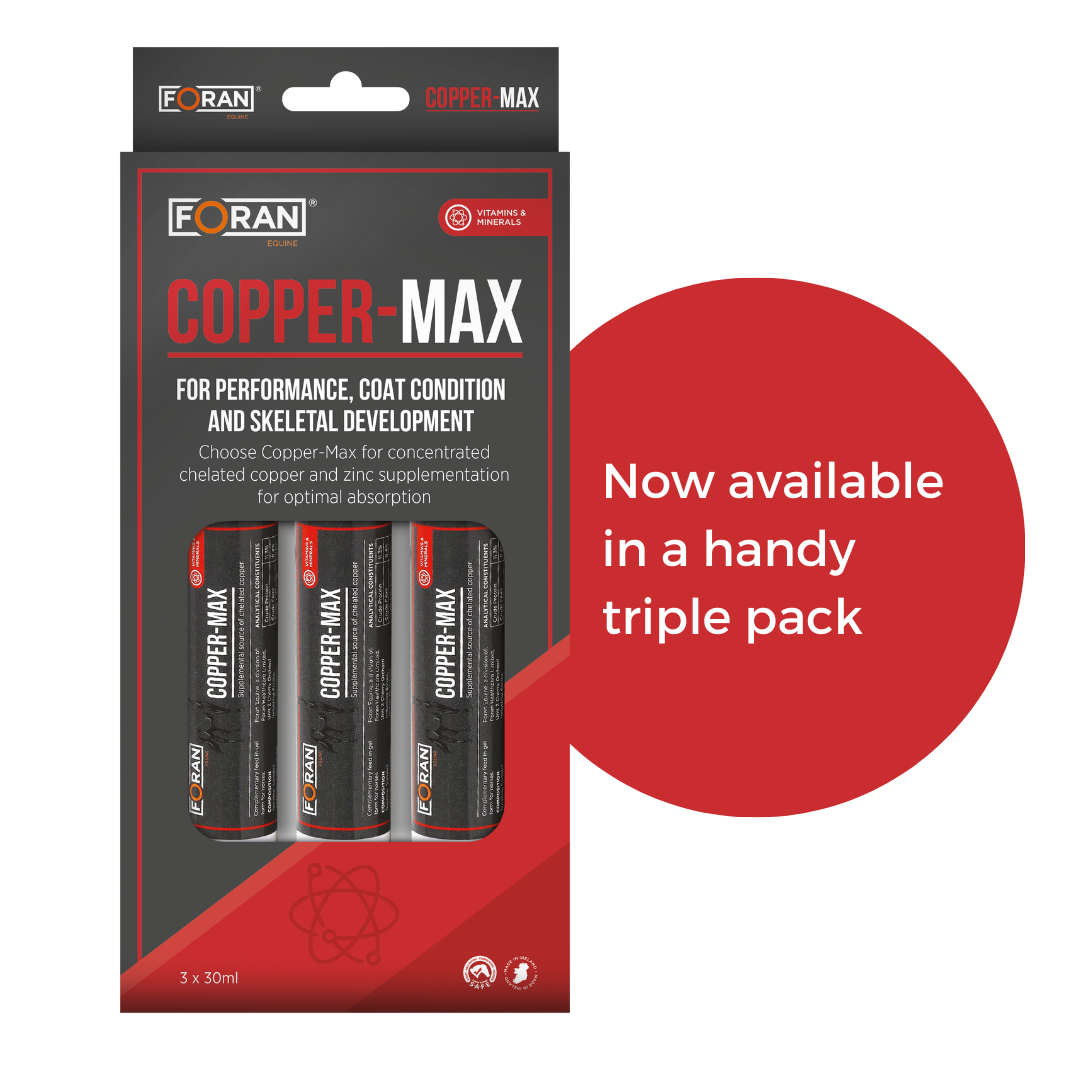 Foran Copper-Max Paste