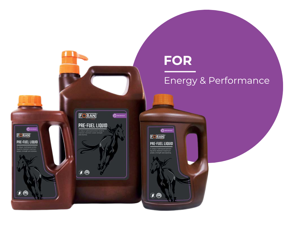 Foran Pre Fuel Liquid